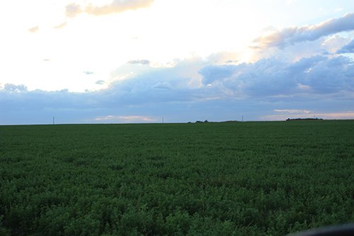 Property photo 22 - LAND AUCTION, 3255+/- Acres offered in 13 Tracts
